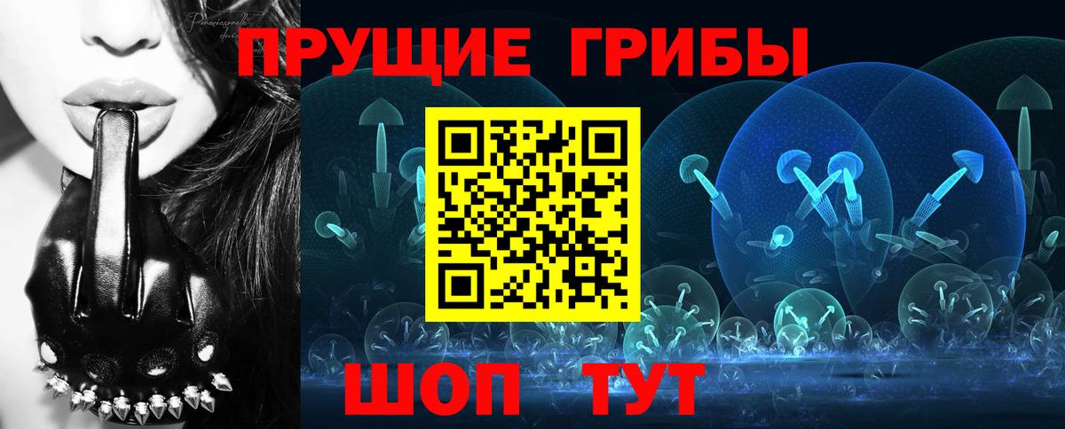 Галлюциногенные грибы Cubensis  наркота  Псилоцибиновые грибы Cubensis  Сертолово  Вход с VPN 