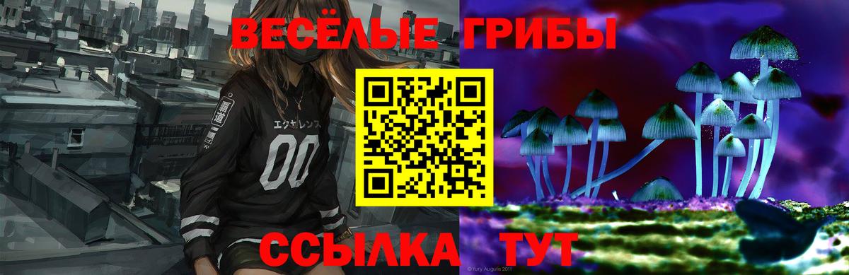 Псилоцибиновые грибы Magic Shrooms  Галлюциногенные грибы GOLDEN TEACHER  Сертолово 